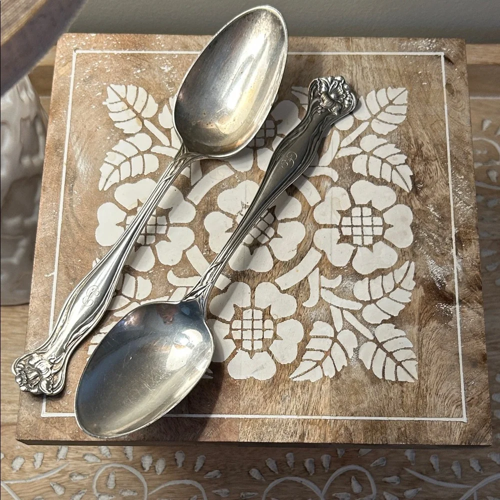 Rogers Brothers Myatic Pattern Silver Tone Serving Spoon Set - 2 in set